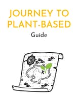 400x500 px book covers - jtpb book cover