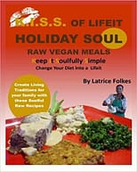 holiday-soul-book-cover